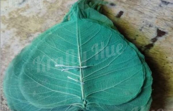 Skeleton Leaf (Green)