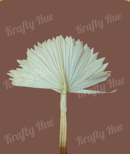 Palm Sun Cut Standard