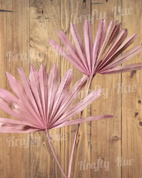 Palm Sun Cut Standard